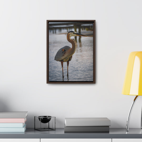 Great Blue Heron - Gallery Canvas Wraps, Vertical Frame