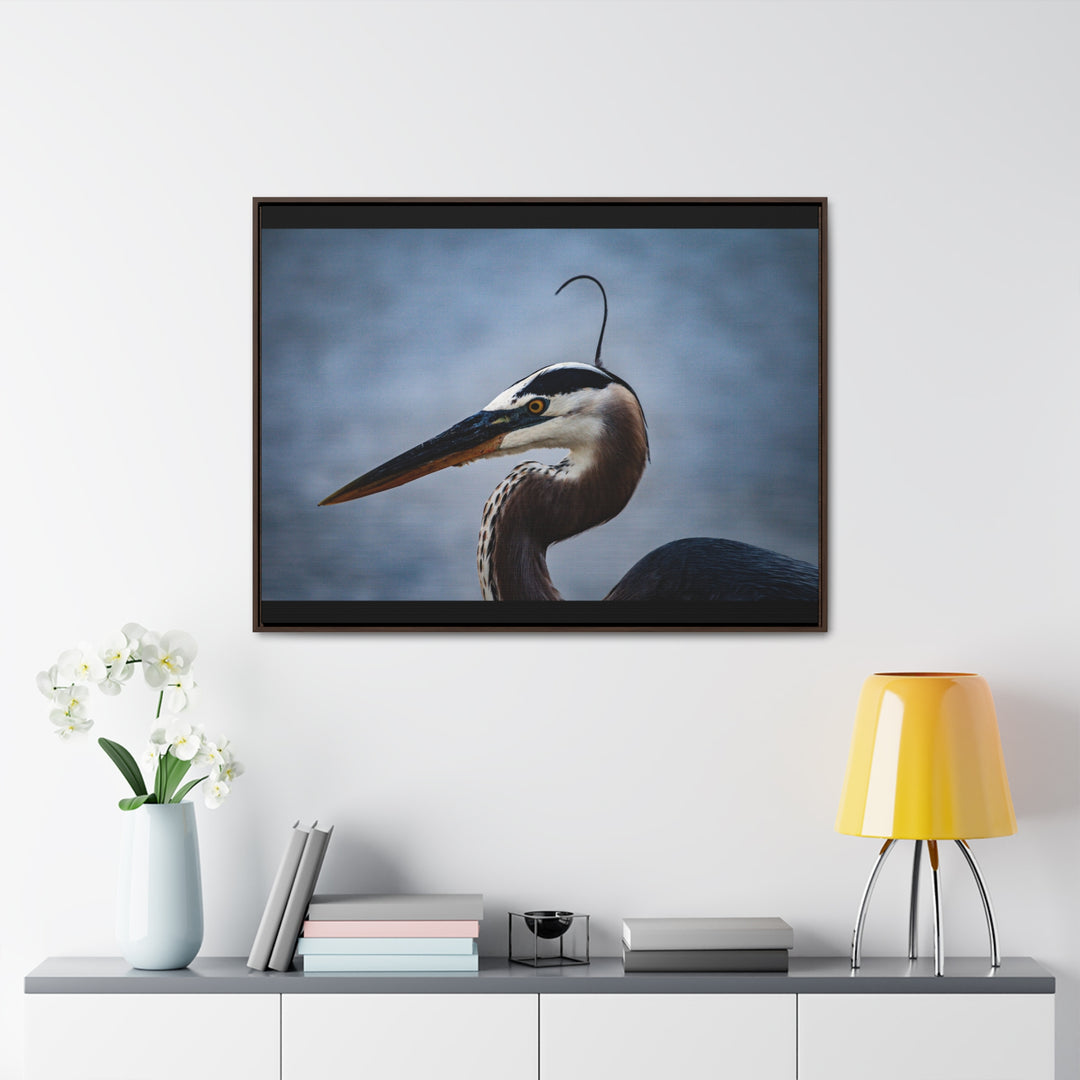 Great Blue Heron - Gallery Canvas Wraps, Horizontal Frame