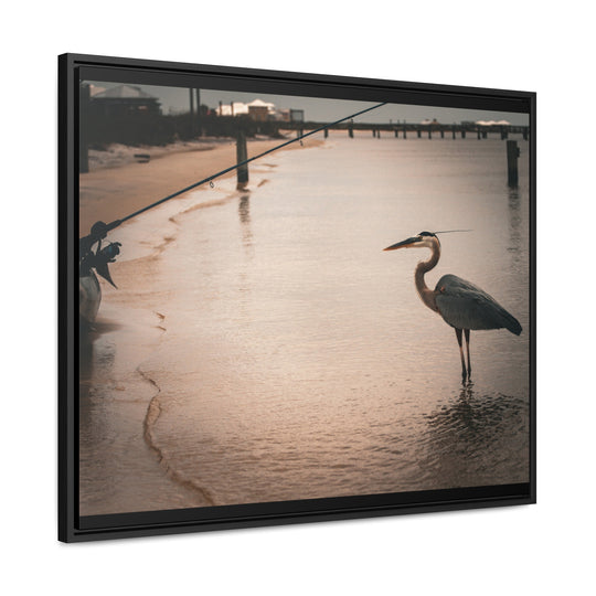 Great Blue Heron - Gallery Canvas Wraps, Horizontal Frame