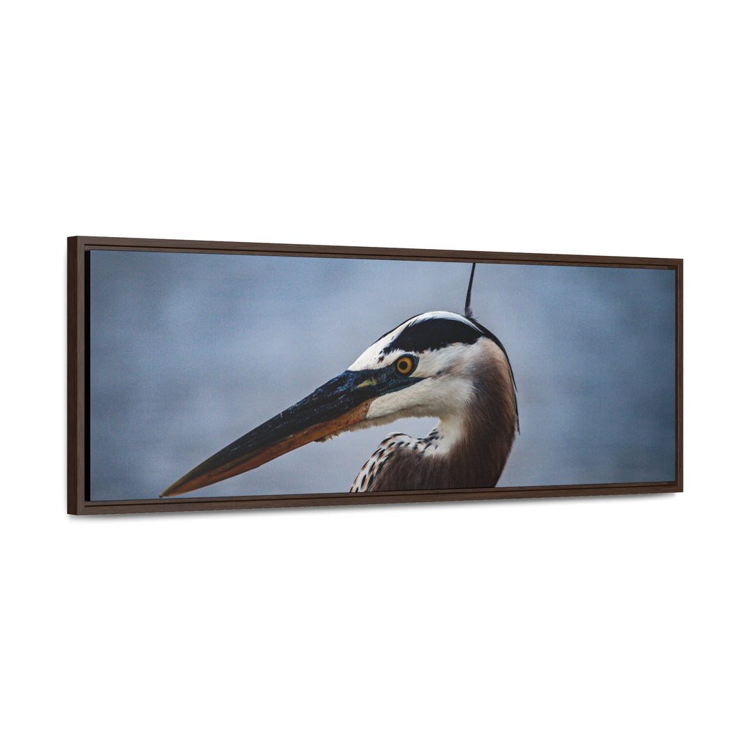 Great Blue Heron - Gallery Canvas Wraps, Horizontal Frame