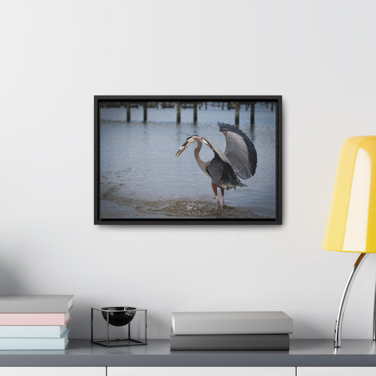 Great Blue Heron - Gallery Canvas Wraps, Horizontal Frame