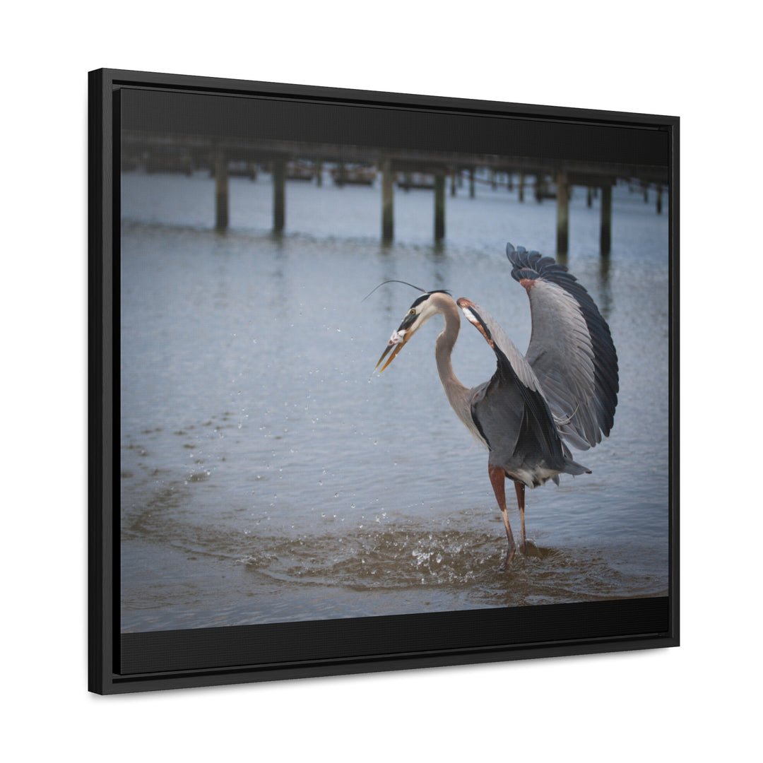 Great Blue Heron - Gallery Canvas Wraps, Horizontal Frame