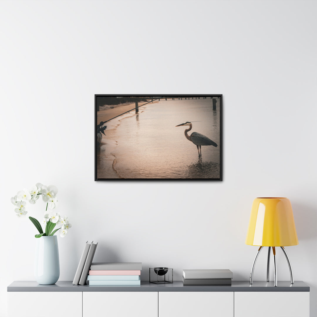 Great Blue Heron - Gallery Canvas Wraps, Horizontal Frame