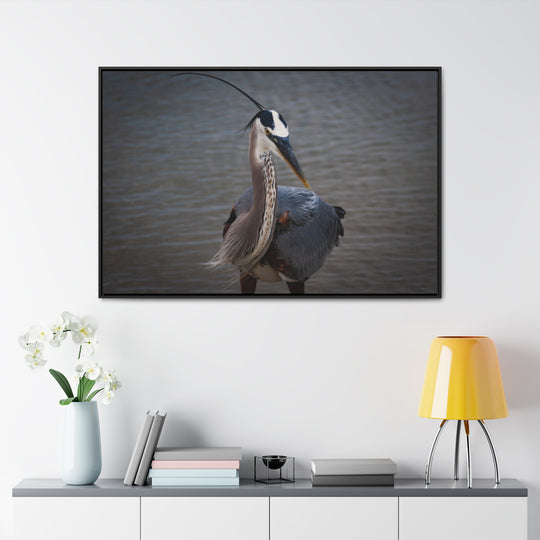 Great Blue Heron - Gallery Canvas Wraps, Horizontal Frame