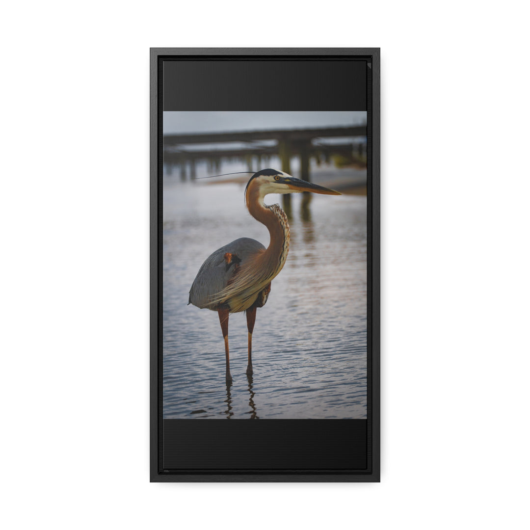 Great Blue Heron - Gallery Canvas Wraps, Vertical Frame