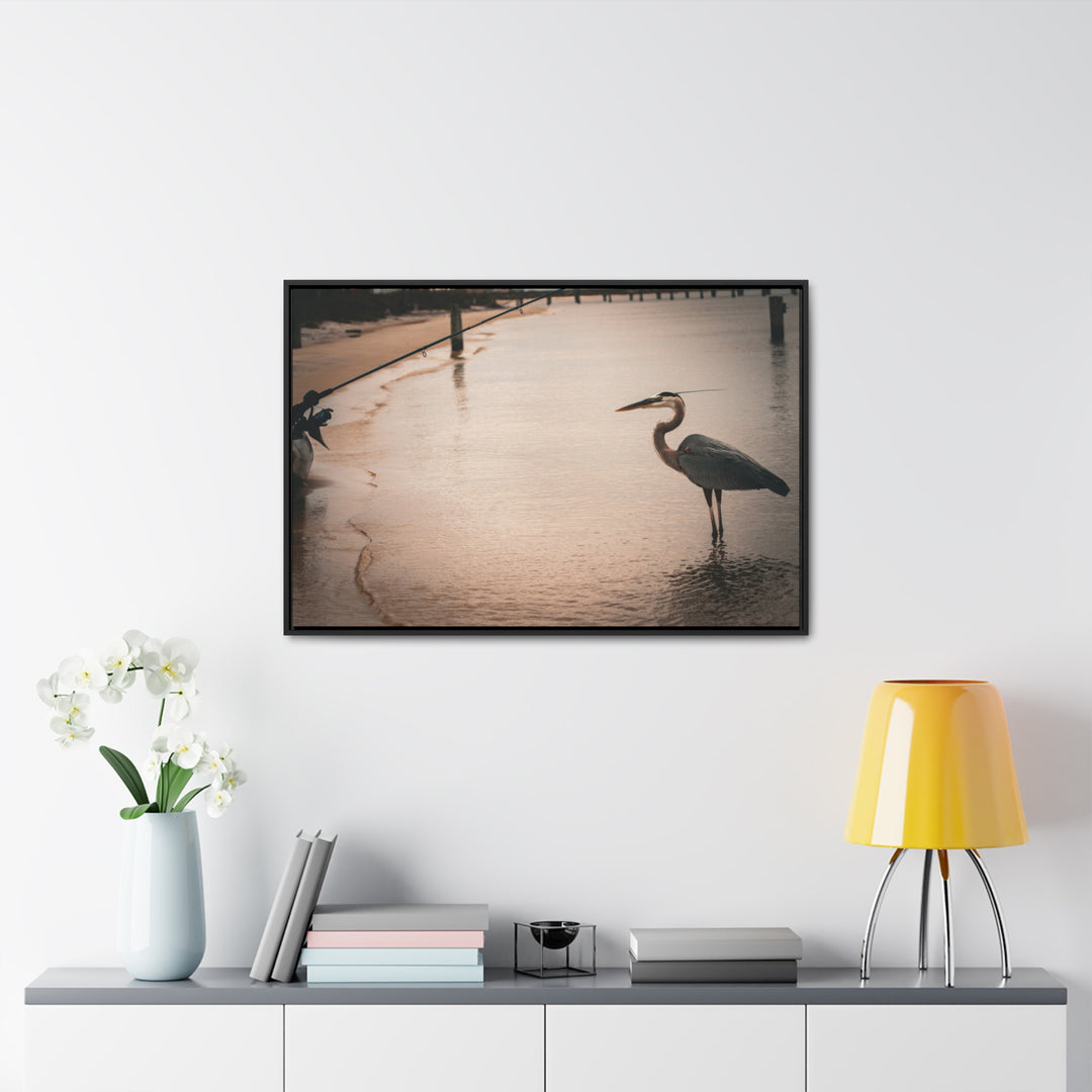 Great Blue Heron - Gallery Canvas Wraps, Horizontal Frame