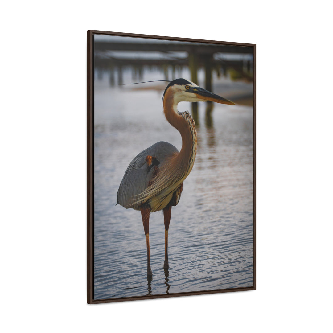 Great Blue Heron - Gallery Canvas Wraps, Vertical Frame