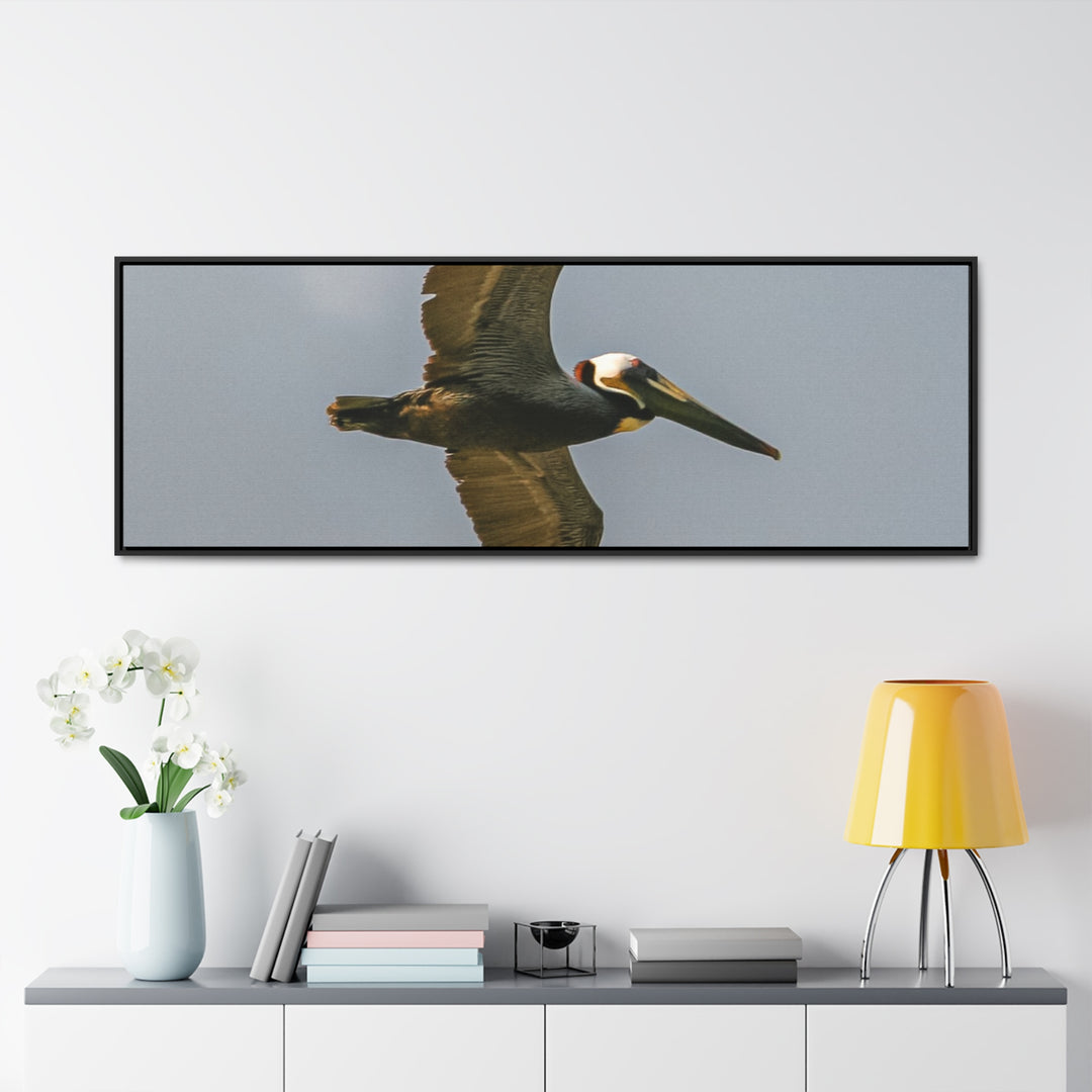 Pelican Flight - Gallery Canvas Wraps, Horizontal Frame