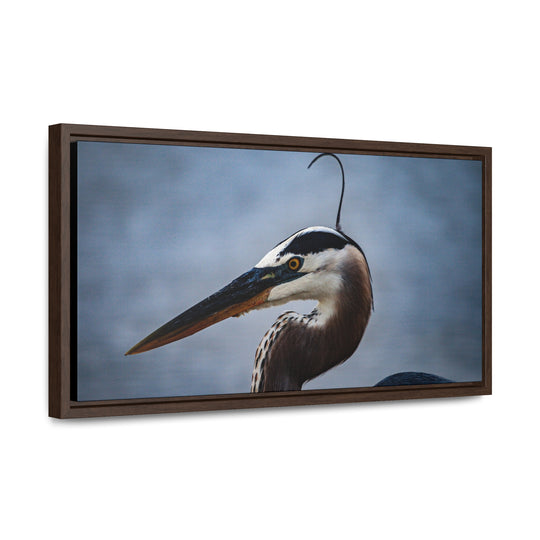 Great Blue Heron - Gallery Canvas Wraps, Horizontal Frame