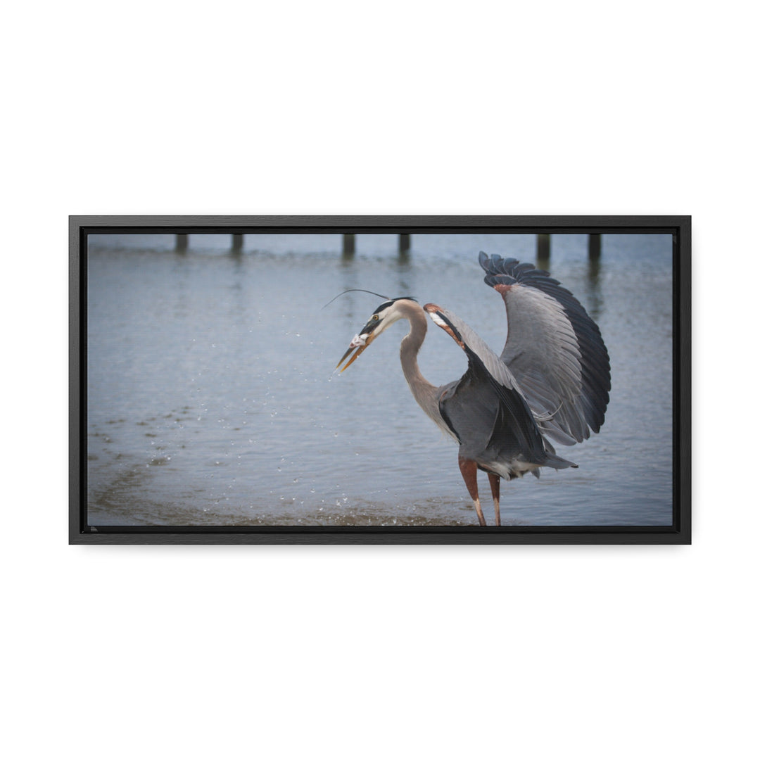 Great Blue Heron - Gallery Canvas Wraps, Horizontal Frame