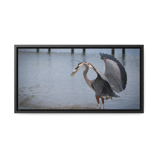 Great Blue Heron - Gallery Canvas Wraps, Horizontal Frame