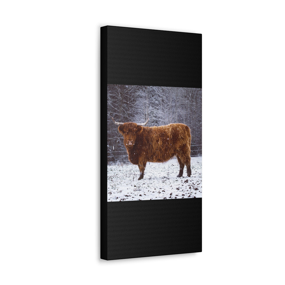 The Ruby Collection - Canvas Gallery Wraps