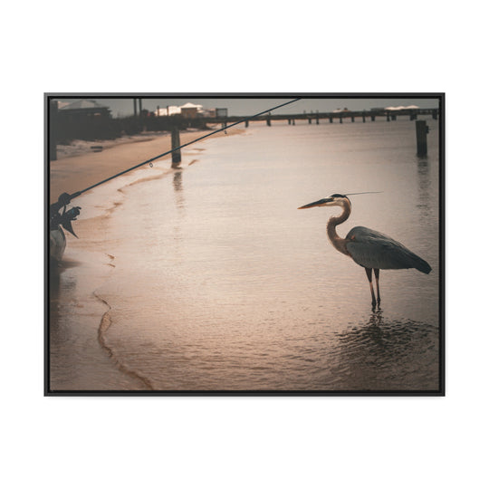 Great Blue Heron - Gallery Canvas Wraps, Horizontal Frame