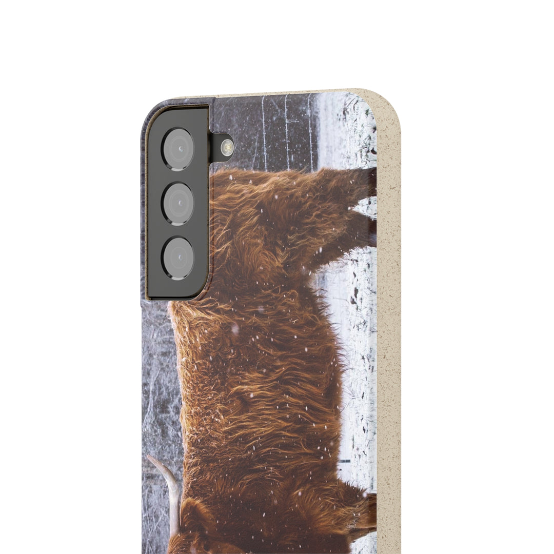 The Ruby Collection - Biodegradable Cases