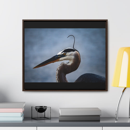 Great Blue Heron - Gallery Canvas Wraps, Horizontal Frame