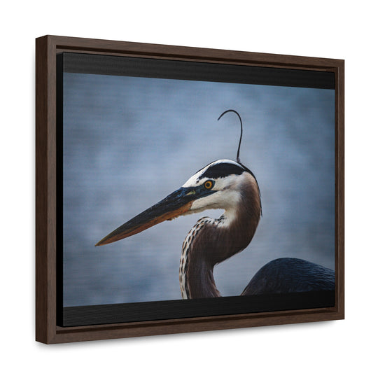 Great Blue Heron - Gallery Canvas Wraps, Horizontal Frame