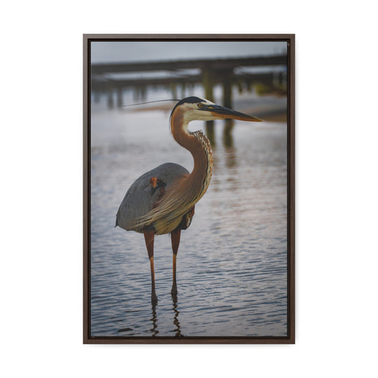 Great Blue Heron - Gallery Canvas Wraps, Vertical Frame