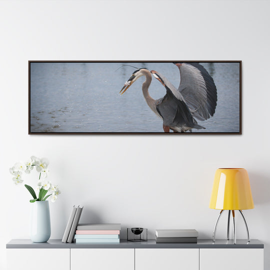 Great Blue Heron - Gallery Canvas Wraps, Horizontal Frame