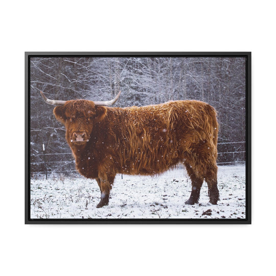 The Ruby Collection - Gallery Canvas Wraps, Horizontal Frame