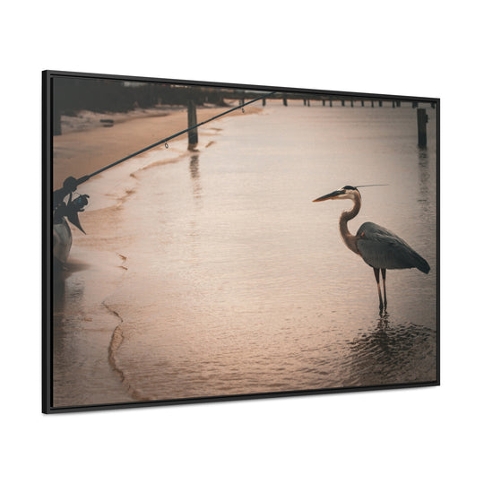 Great Blue Heron - Gallery Canvas Wraps, Horizontal Frame