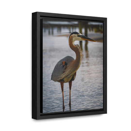 Great Blue Heron - Gallery Canvas Wraps, Vertical Frame