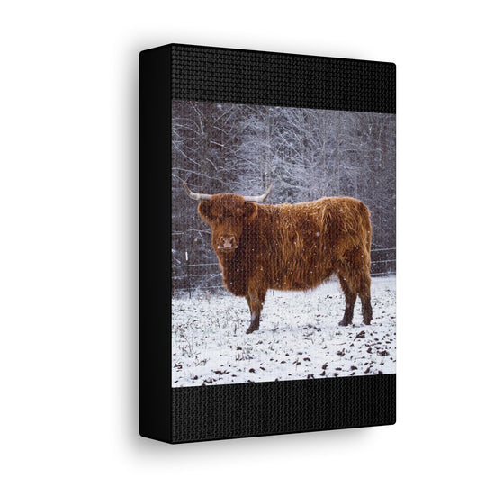 The Ruby Collection - Canvas Gallery Wraps