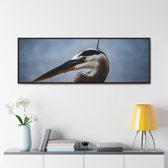 Great Blue Heron - Gallery Canvas Wraps, Horizontal Frame