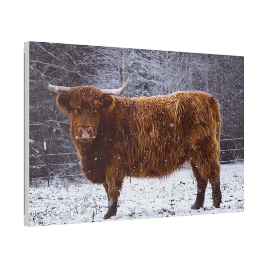 The Ruby Collection - Highland on Classic Stretched Canvas