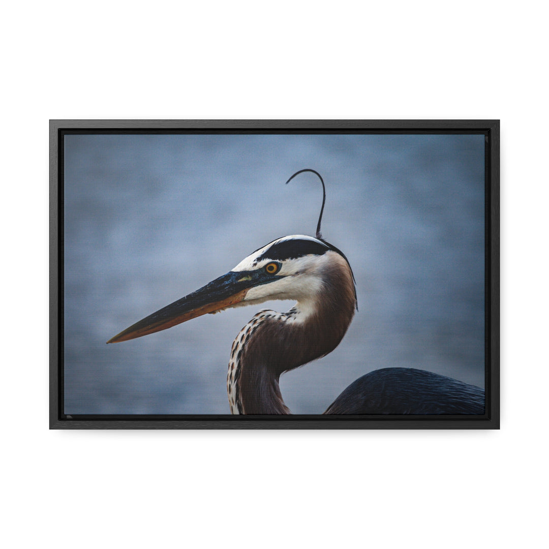 Great Blue Heron - Gallery Canvas Wraps, Horizontal Frame