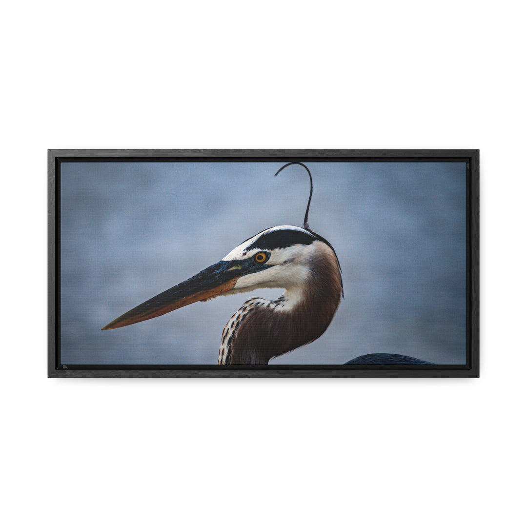 Great Blue Heron - Gallery Canvas Wraps, Horizontal Frame