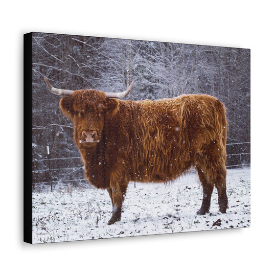 The Ruby Collection - Canvas Gallery Wraps