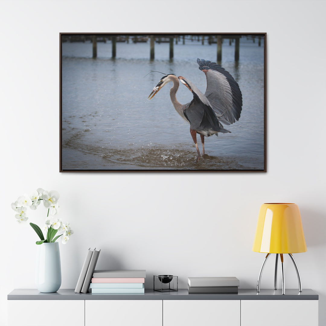 Great Blue Heron - Gallery Canvas Wraps, Horizontal Frame