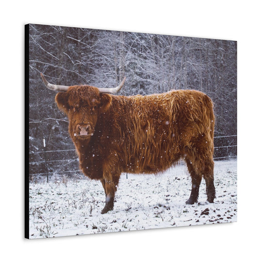 The Ruby Collection - Canvas Gallery Wraps