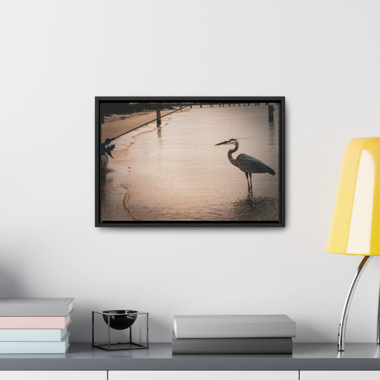 Great Blue Heron - Gallery Canvas Wraps, Horizontal Frame