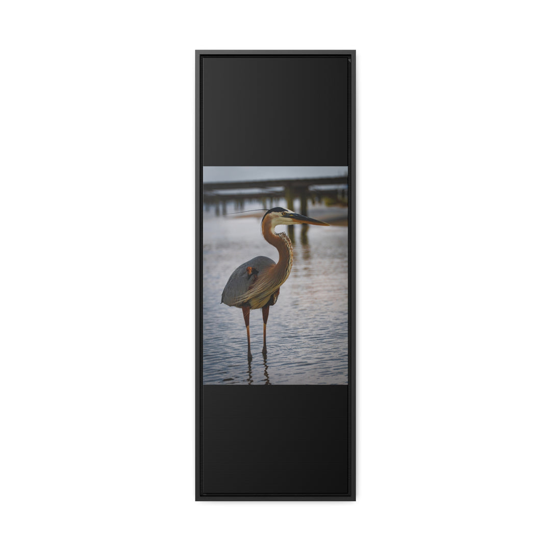 Great Blue Heron - Gallery Canvas Wraps, Vertical Frame