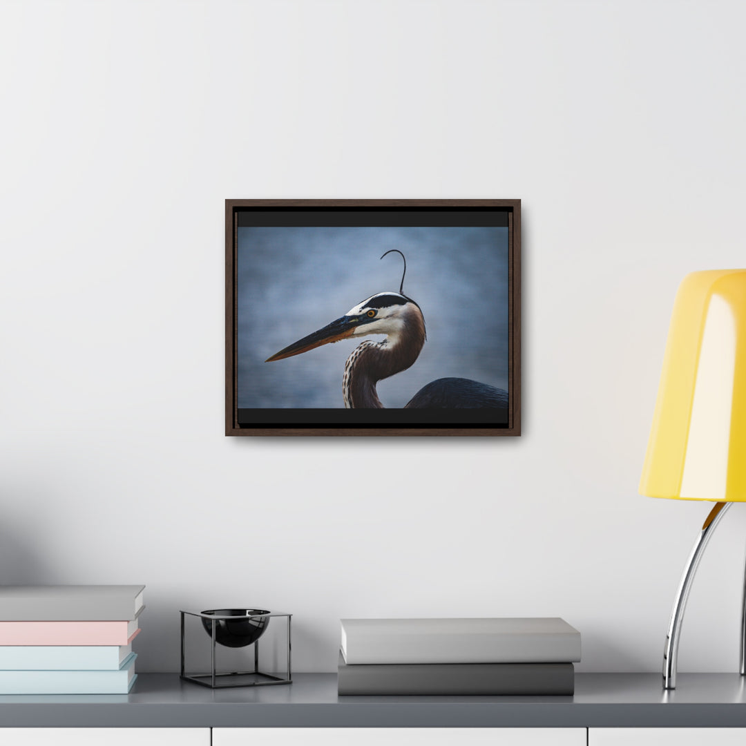 Great Blue Heron - Gallery Canvas Wraps, Horizontal Frame