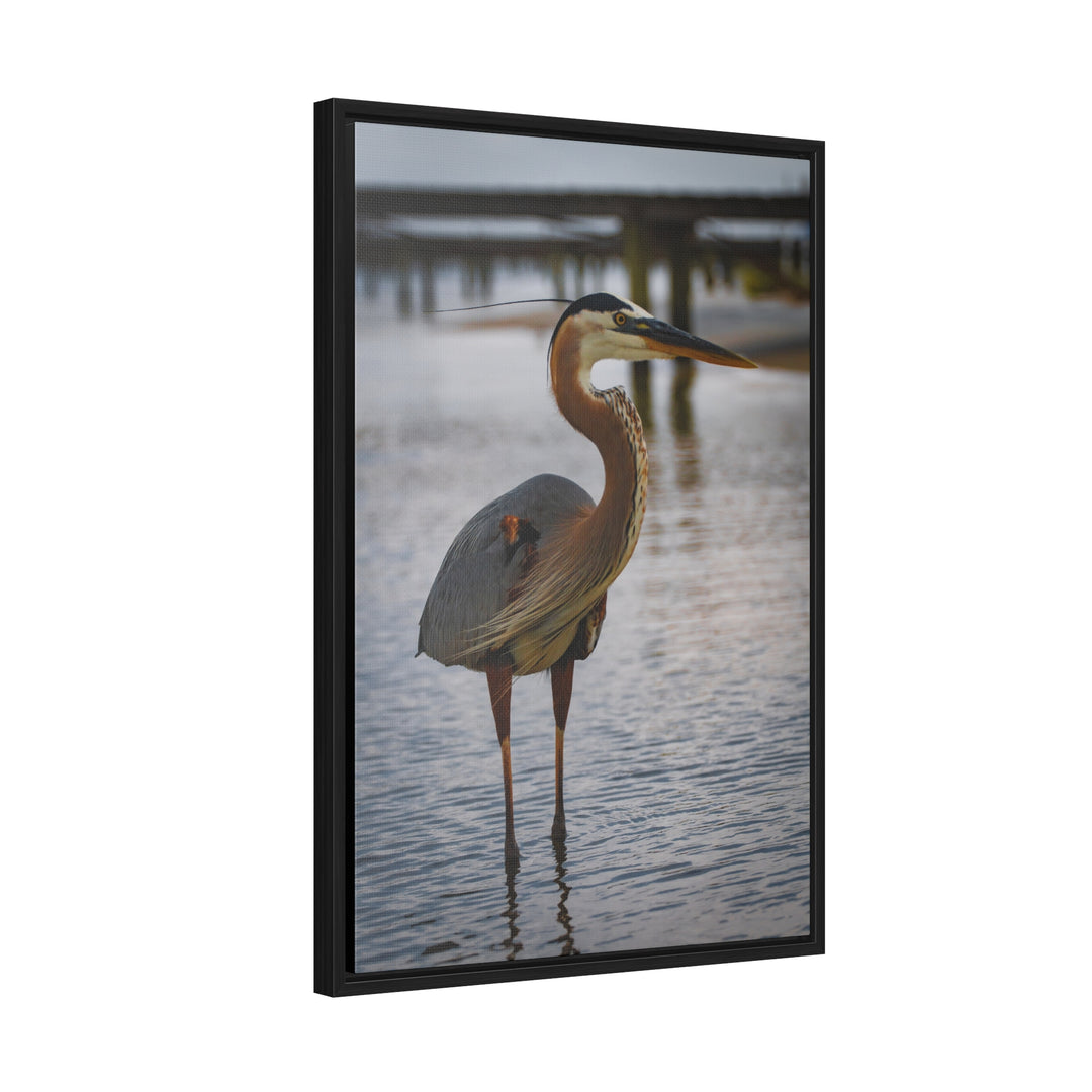 Great Blue Heron - Gallery Canvas Wraps, Vertical Frame