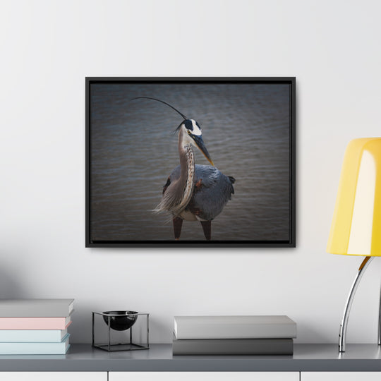 Great Blue Heron - Gallery Canvas Wraps, Horizontal Frame