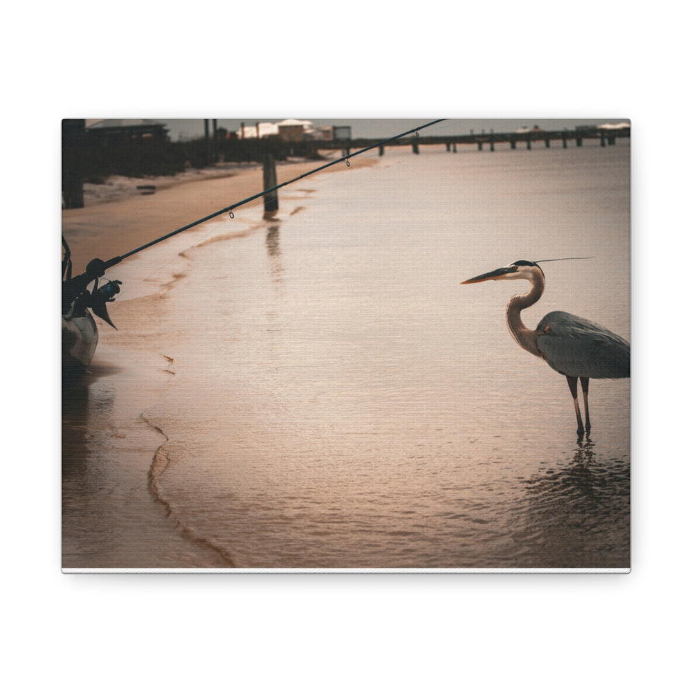 Great Blue Heron Canvas Gallery Wraps