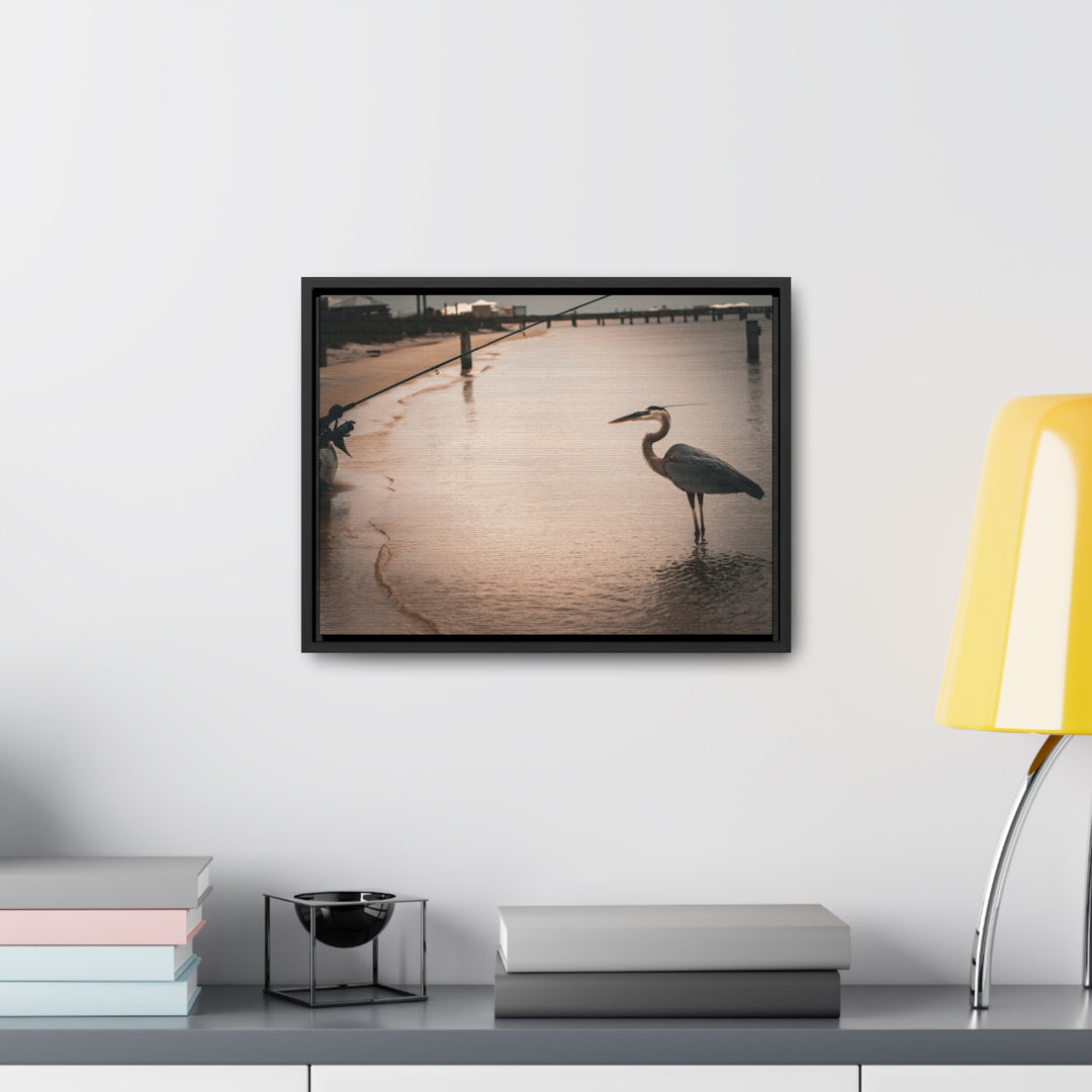 Great Blue Heron - Gallery Canvas Wraps, Horizontal Frame