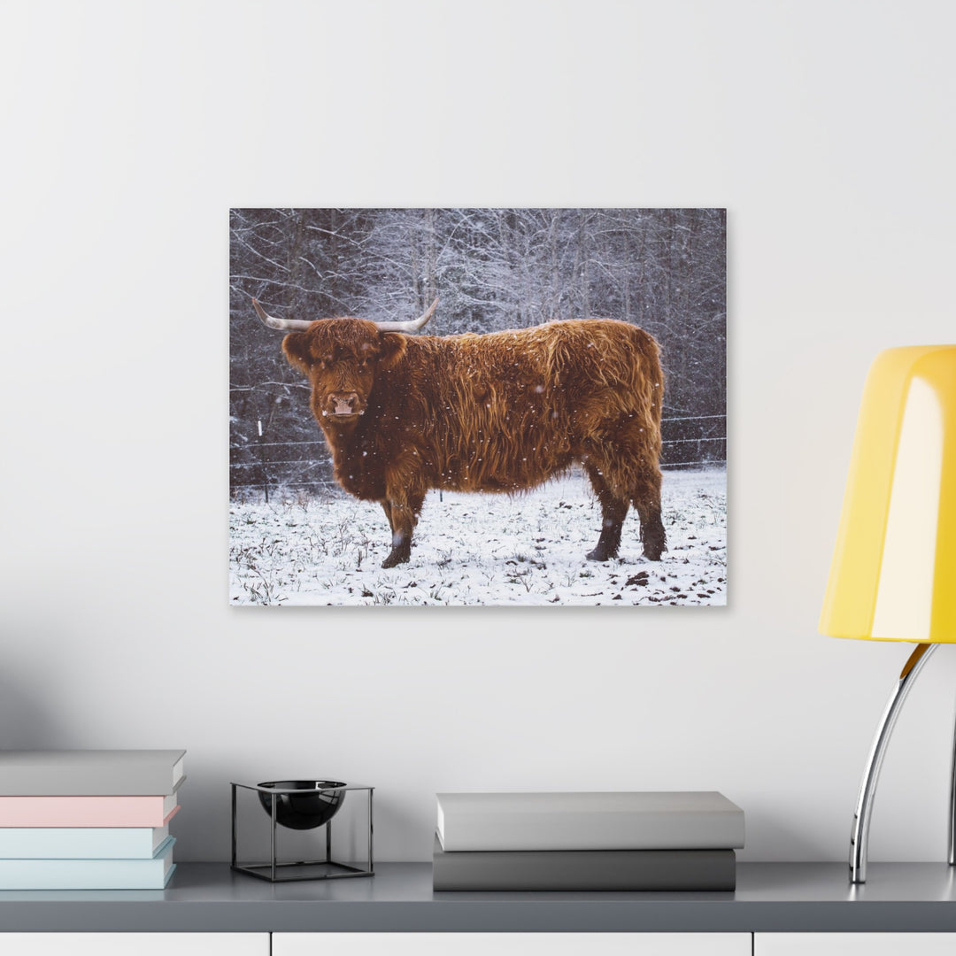 The Ruby Collection - Highland on Classic Stretched Canvas