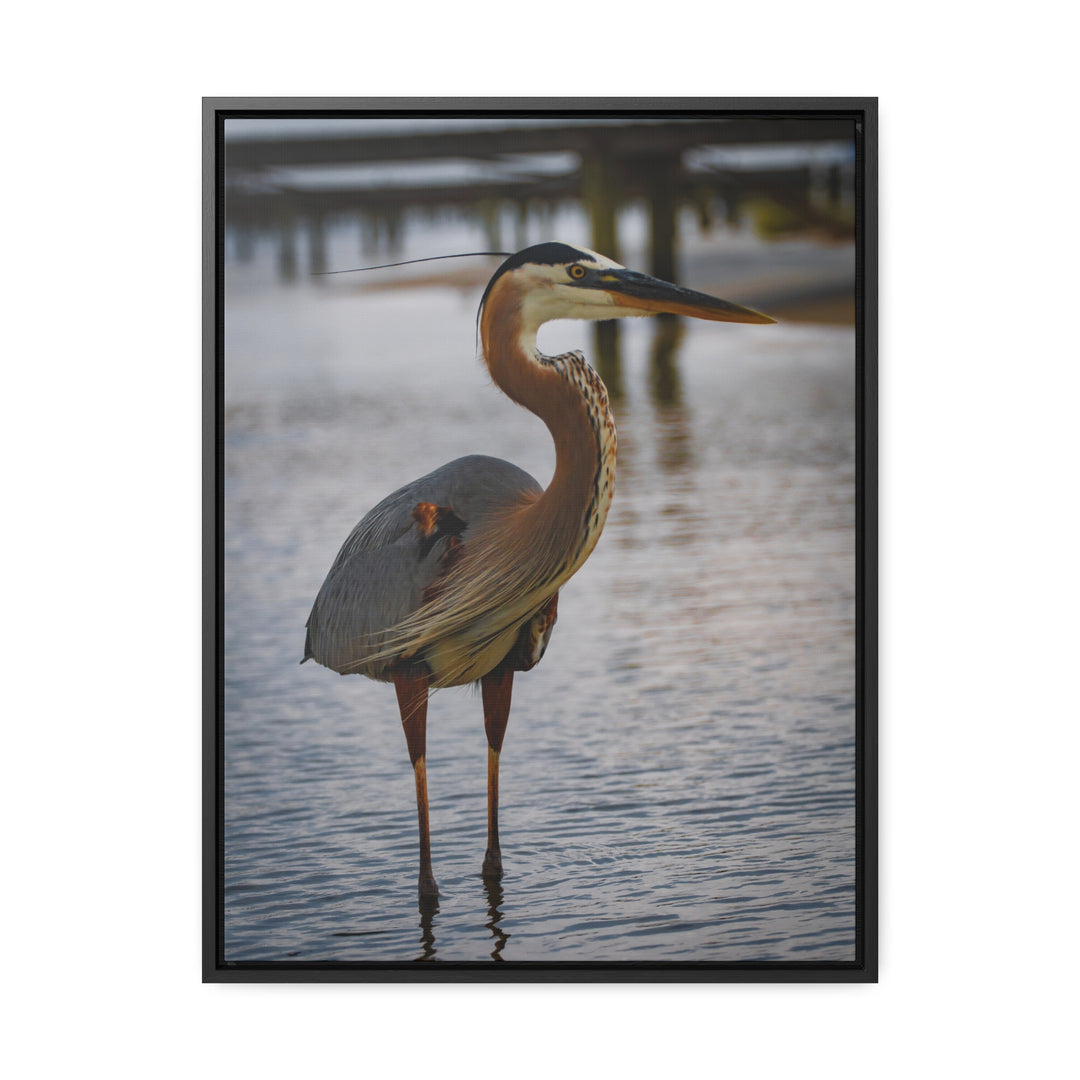 Great Blue Heron - Gallery Canvas Wraps, Vertical Frame