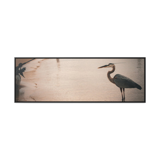 Great Blue Heron - Gallery Canvas Wraps, Horizontal Frame