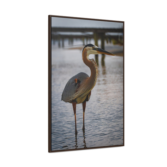 Great Blue Heron - Gallery Canvas Wraps, Vertical Frame