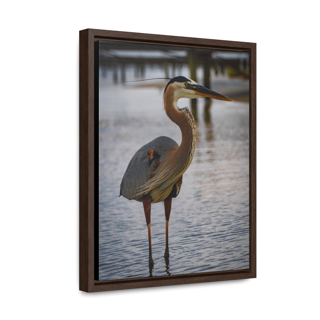 Great Blue Heron - Gallery Canvas Wraps, Vertical Frame