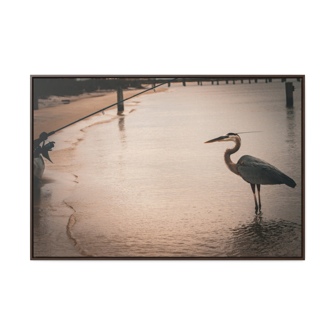 Great Blue Heron - Gallery Canvas Wraps, Horizontal Frame