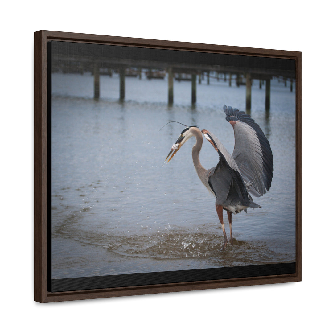 Great Blue Heron - Gallery Canvas Wraps, Horizontal Frame