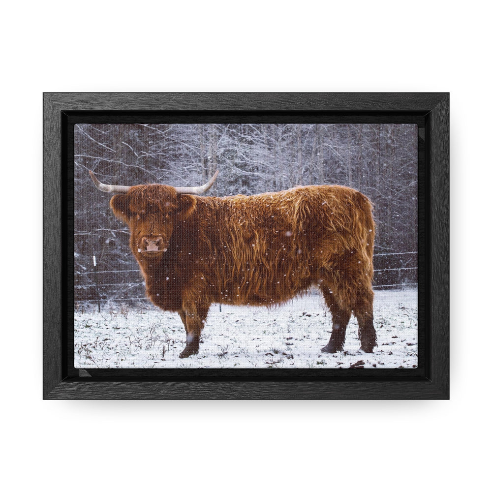 The Ruby Collection - Gallery Canvas Wraps, Horizontal Frame