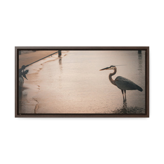 Great Blue Heron - Gallery Canvas Wraps, Horizontal Frame