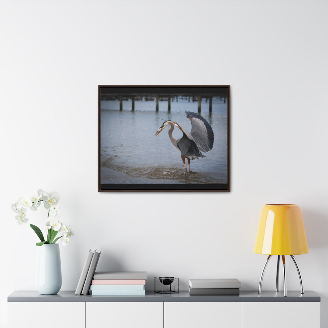 Great Blue Heron - Gallery Canvas Wraps, Horizontal Frame